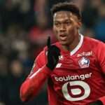 Jonathan David: Biography, Family, Stats, Career, Age, and Market Value
