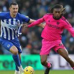 Brighton vs Fulham Preview and Prediction